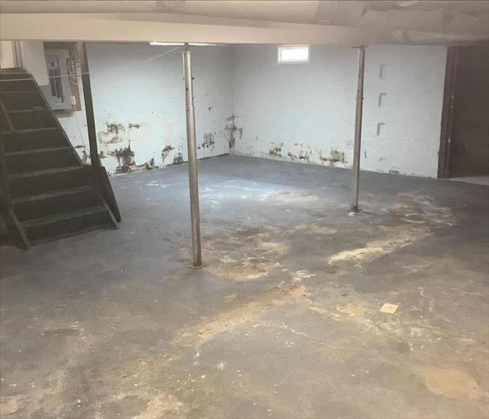 Basement with visible mold
