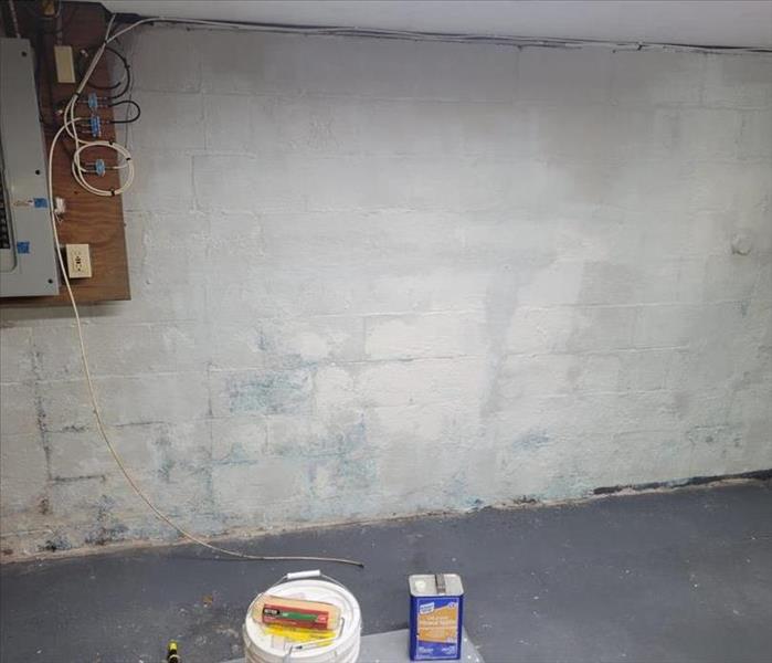 Basement without any visible mold, cleaned