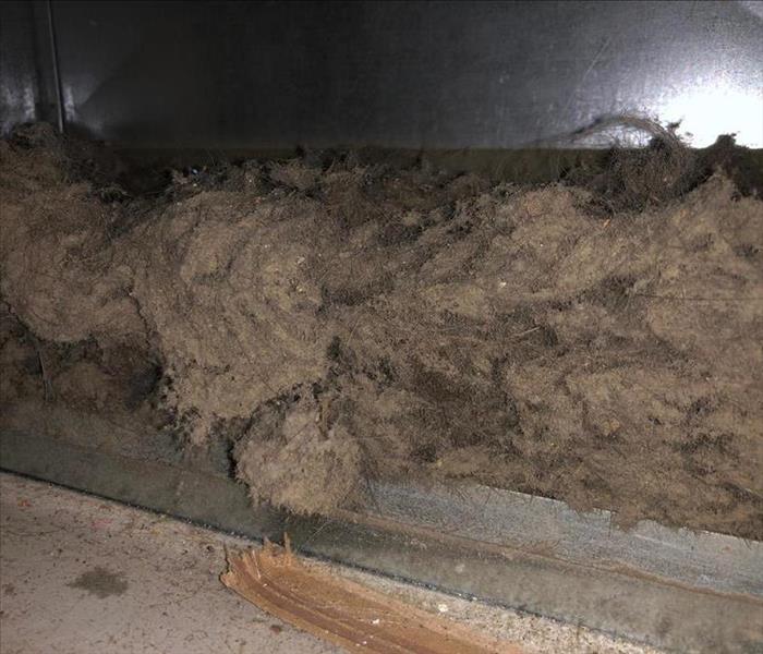 HVAC Vent with dust, hair, and lint
